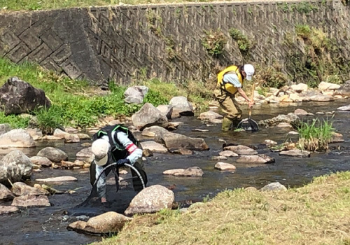 水辺環境調査